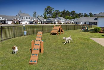 Gated pet park